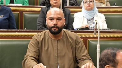 نائب بـ"زراعة النواب": افتتاح الرئيس السيسى موسم حصاد القمح يعكس الإرادة الجادة لتحقيق الأمن الغذائى