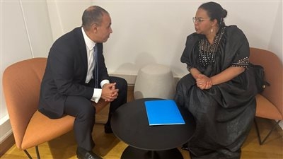 وزير الخارجية: نعتزام إنشاء جناح مصري متخصص في جراحة القلب بمستشفى كينشاسا العام بجمهورية الكونجو