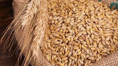 أسعار الأرز الشعير والسلع الغذائية الاساسية في الأسواق المصرية