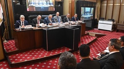 تشريعية النواب تناقش قانون مجلس الشيوخ  وتقسيم الدوائر .. اليوم