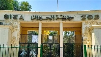 بـ 5 جنيهات.. حدائق الحيوان تستعد للعيد وهذا موقف حديقة الجيزة