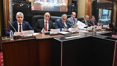 قراءة شاملة لـ تحيا مصر بمشروع قانون برلمان 2026 وتقسيم الدوائر..صور