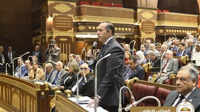 فوزي : مشروع قانون الشيوخ يدعم مبدأ الحرية الشخصية للمرشحين في اختيار الدائرة التي يترشحون عنها