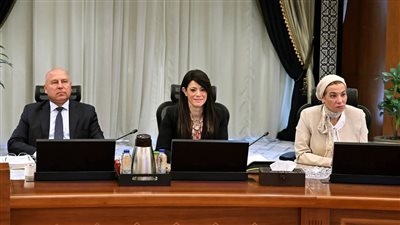 التخطيط: 18 جهة حكومية تُنفذ البرنامج الوطني للإصلاحات الهيكلية
