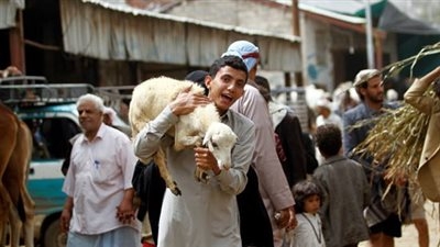 استعدادات مكثفة لعيد الأضحى 2025.. شوادر ولحوم بأسعار مخفضة وجهود حكومية لتأمين الأضاحي