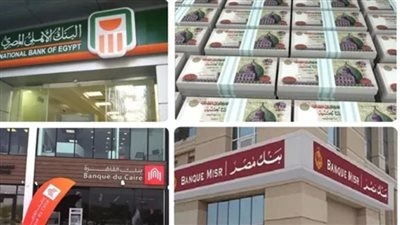 بعد خفض الفائدة 325 نقطة أساس.. ما الذي تغيّر في شهادات البنوك؟