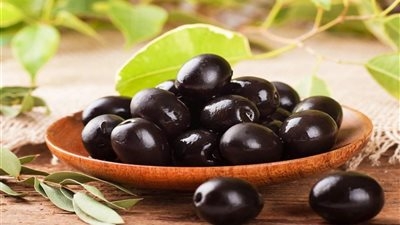 لحماية الأشجار.. الزراعة تصدر توصيات فنية لمزارعي لمزارعي الزيتون