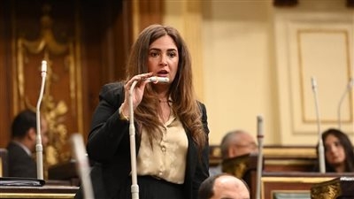 نائبة التنسيقية أميرة العادلي خلال مناقشة الموازنة العامة للدولة 26/25: الأرقام لا تكذب.. وزيادات الدعم والأجور لا تُعادل الغلاء