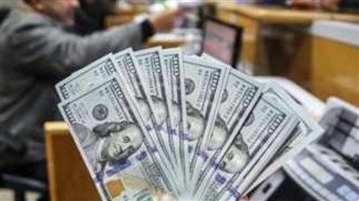 الاحتياطي النقدي وتأمين السلع.. كيف تحصن مصر اقتصادها في وجه الأزمات العالمية؟