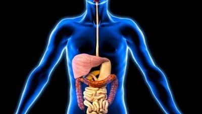 عادات يومية تُعجّل شيخوخة الأمعاء… كيف تحمي جهازك الهضمي؟