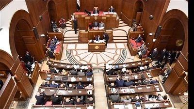 لو هتترشح السنادي لانتخابات مجلس الشيوخ .. إليك الإجراءات والمستندات المطلوبة وفقا للقانون