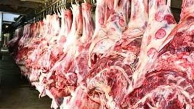 استقرار أسعار اللحوم بمحلات الجزارة اليوم.. وهذا سعرها بمنافذ وزارة الزراعة
