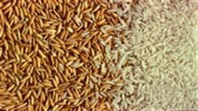 أسعار الأرز في الأسواق اليوم الأربعاء 6 أغسطس 2025