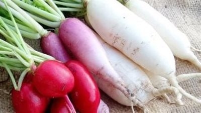 الفجل.. هل يمكن أن يكون علاجًا طبيعيًا لأمراض مزمنة؟