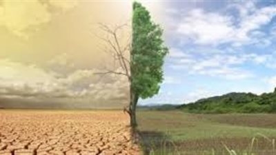 اهم التدابير عليك القيام بها