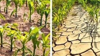 الصناعات الثقيلة في مرمى التغير المناخي التحديات تتزايد