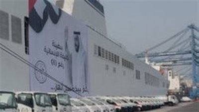 «في يوم العمل الإنساني».. 100 مليار دولار مساعدات إماراتية لضحايا الأزمات حول العالم
