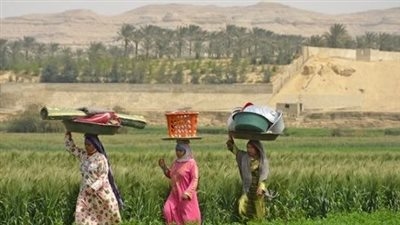 مبادرة "بنت الريف".. الزراعة برامج تدريبية لتوعوية شاملة لدعم المزارعين
