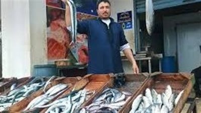 بـ 76 جنيه سعر السمك البلطي اليوم الخميس 14-8-2025