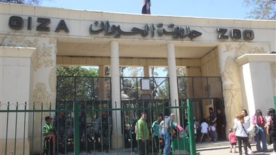 بعد 18 شهرًا من الإغلاق.. حديقة حيوان الجيزة تعود في سبتمبر