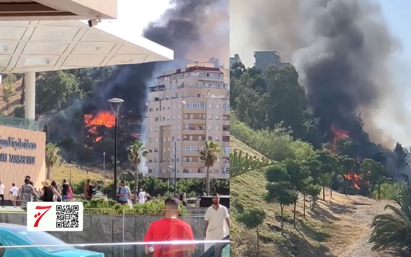 حريق بمنطقة الشرف يتمدد لمنازل المواطنين (فيديو)