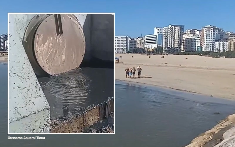 لا تسبحوا في بلايا طنجة