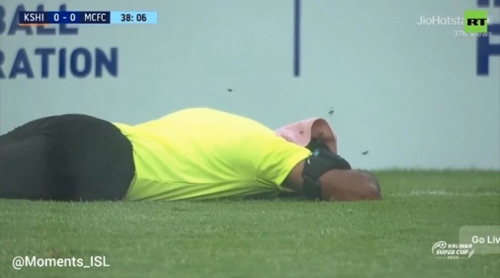فيديو.. هجوم مفاجئ للنحل يشل مباراة كأس السوبر الهندي