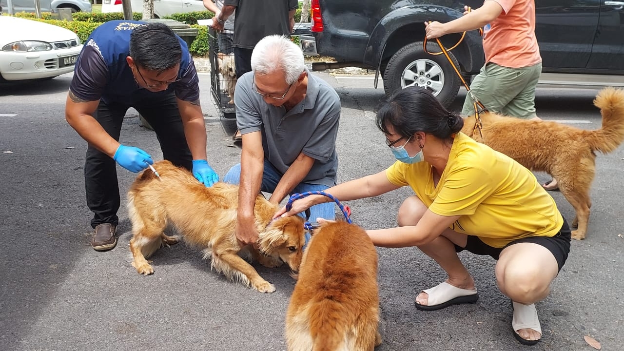 Rabies in Borneo 2025 Conference set for Sept 30 to Oct 1 in Kuching