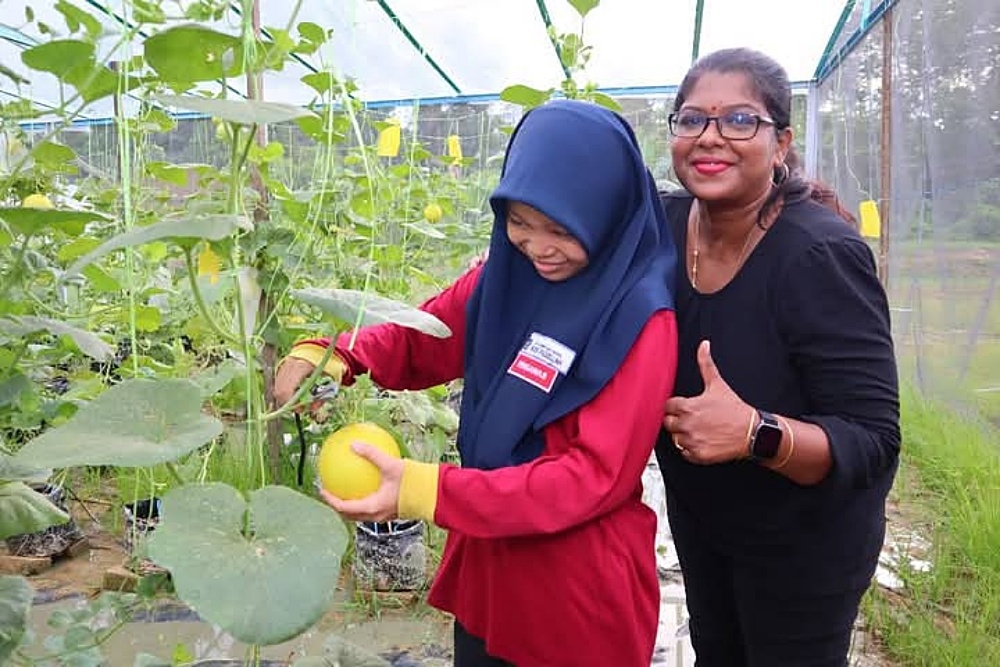 Golden melon harvest marks success for SK Kampung Baru students under AgriSTEM programme