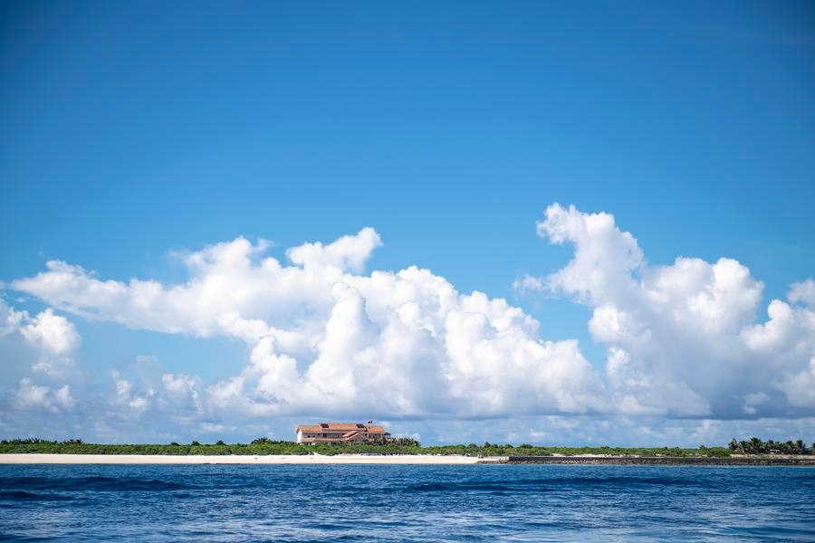 In South China Sea, a marine researcher finds depth of life in shallows