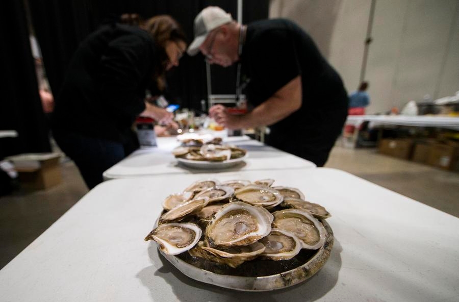 Oyster fossils offer new insights into history of global warming