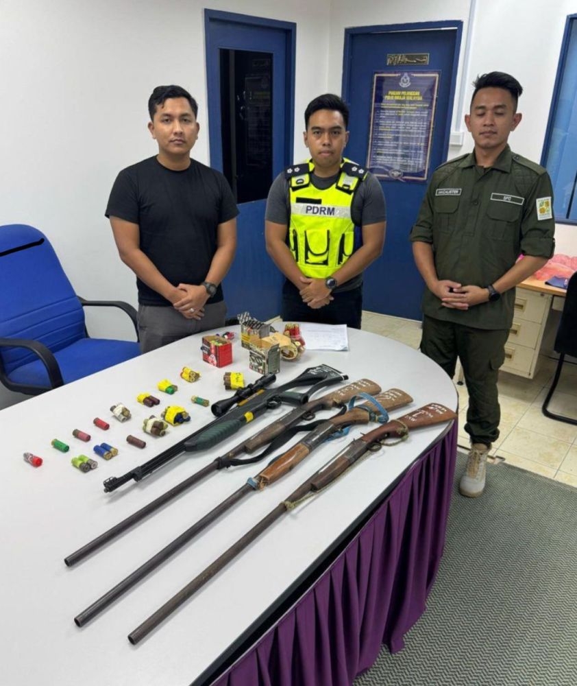 Man nabbed in Betong with RM553k worth of illegal wildlife body parts, firearms