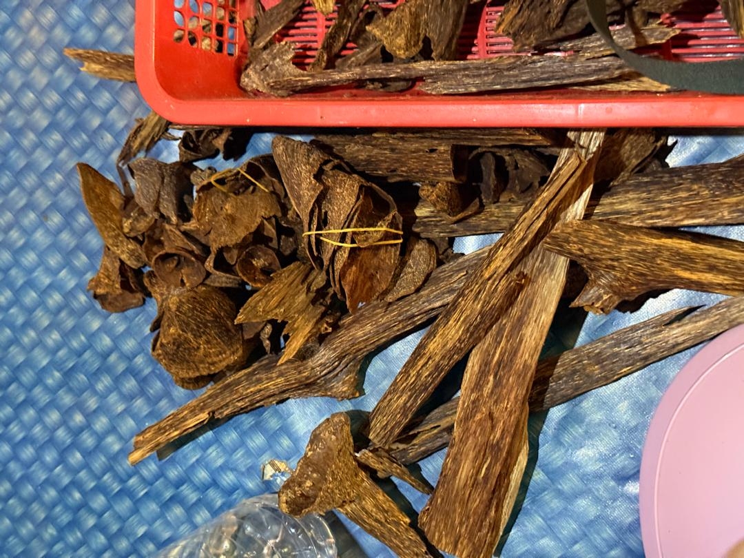 SFC foils wildlife smuggling, agarwood processing attempts in Limbang