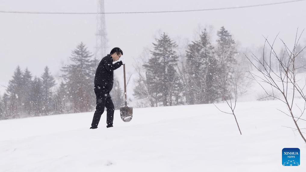 Two decades of volcano monitoring in northeast China's Changbai Mountains