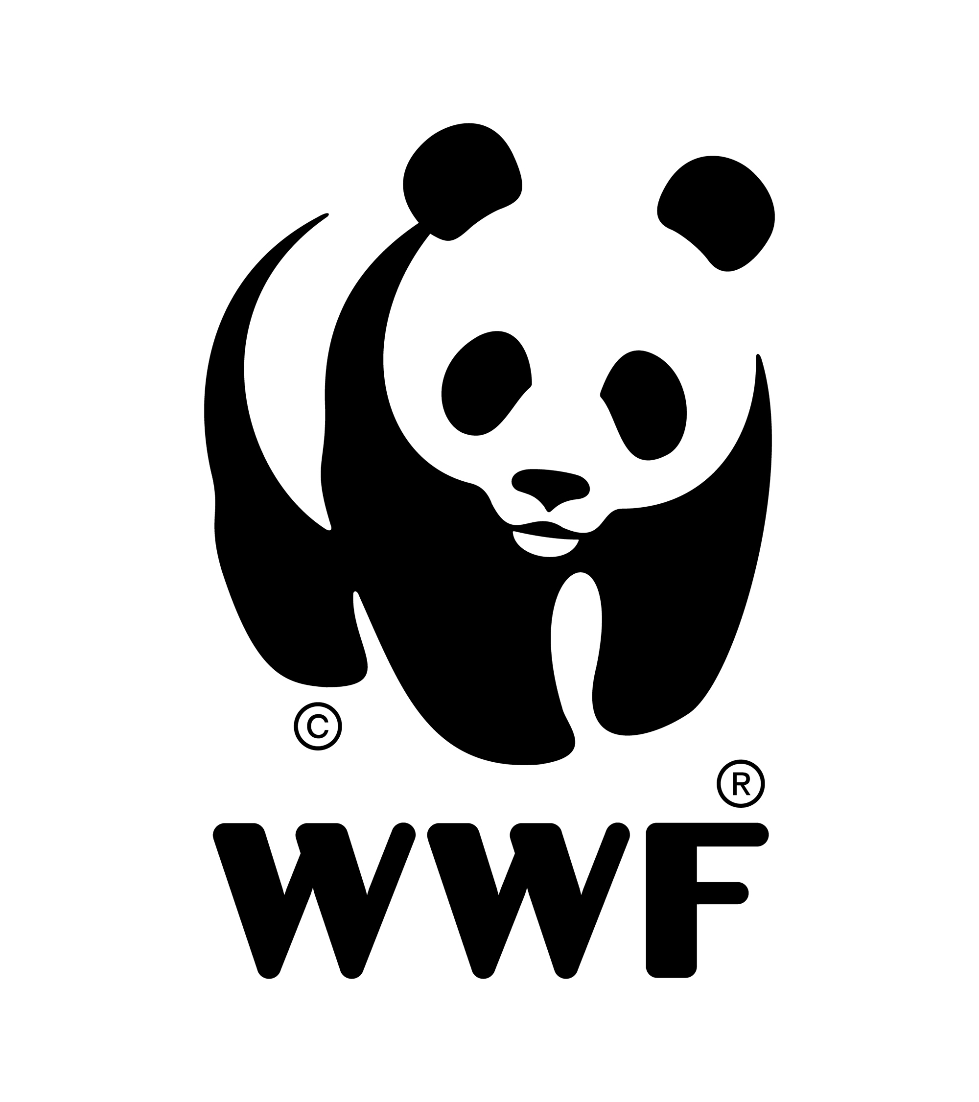 Sabah's sustainable palm oil vision: Leading way for people and planet