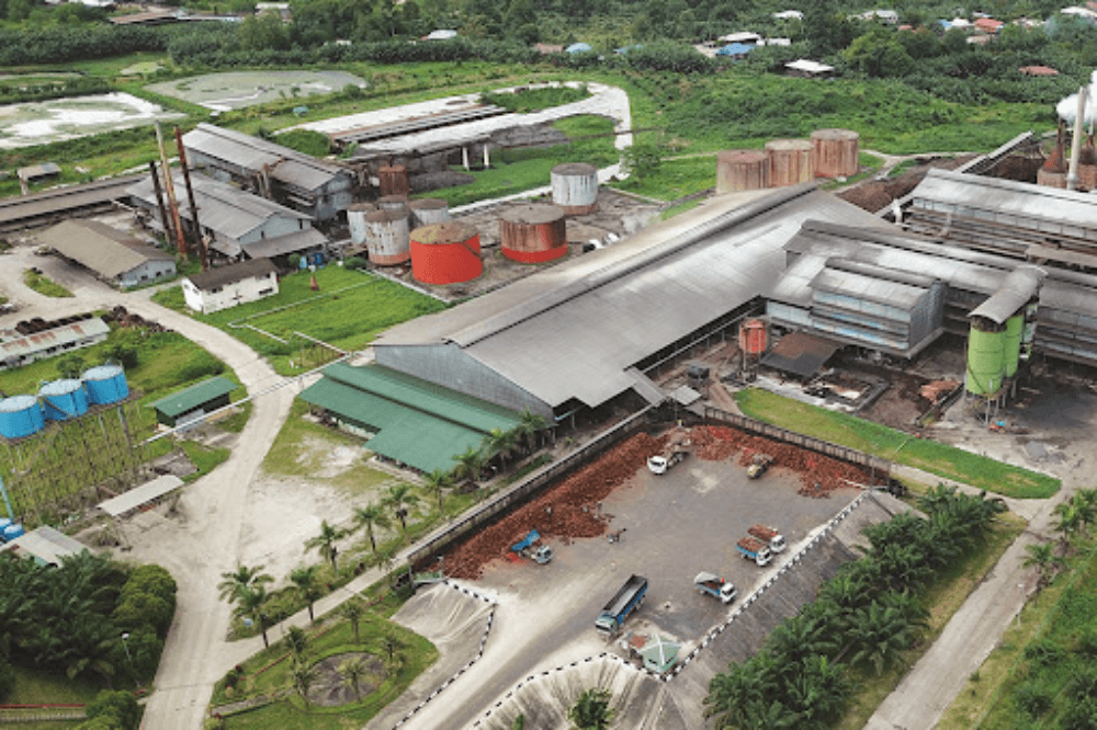 Decent start to Sarawak Plantation's year