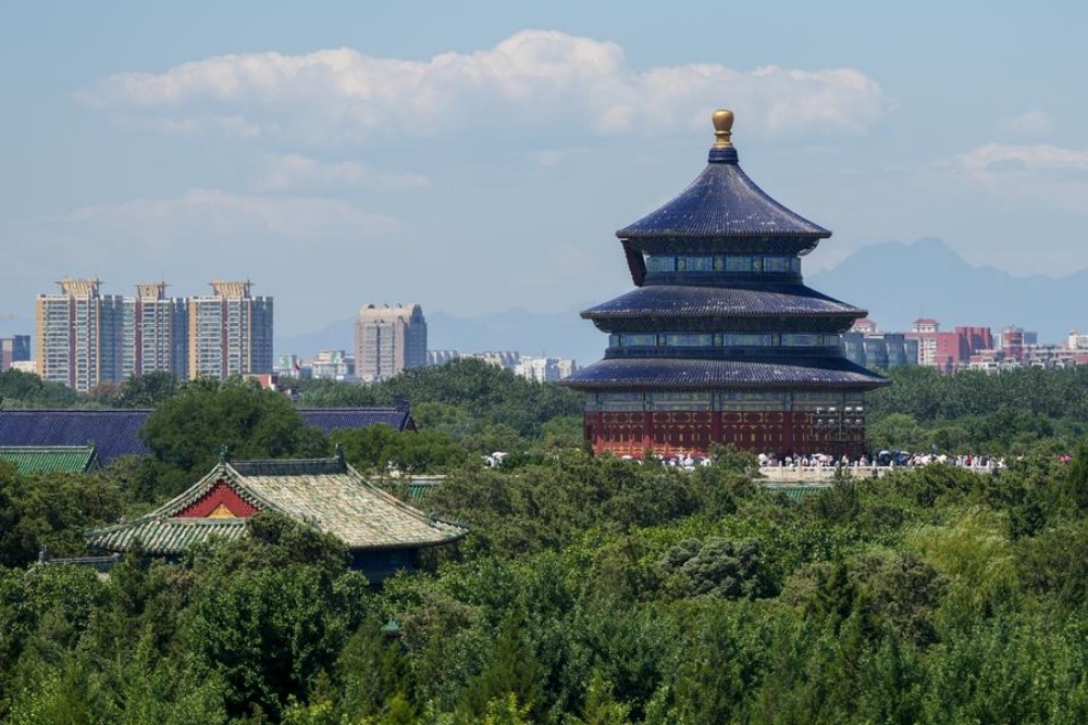 Young birders flock to Beijing's Central Axis for glimpse of urban wings