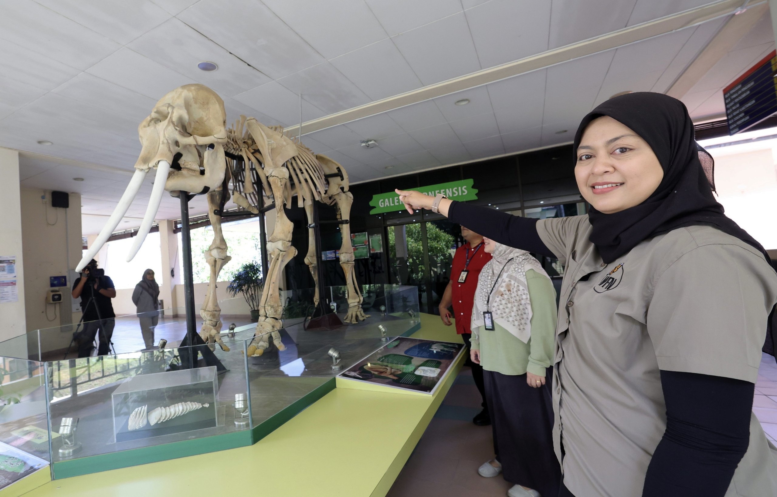 One woman's lifelong mission: Giving voice to Borneo's last elephants