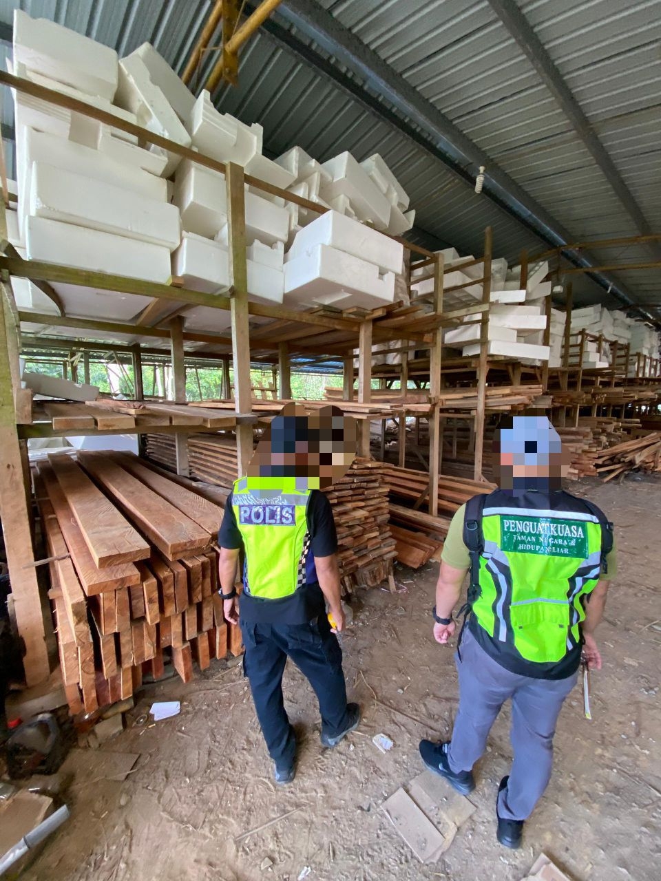 GOF Sarawak seizes RM1.84 mln in illegal timber, protected animals in eight operations statewide