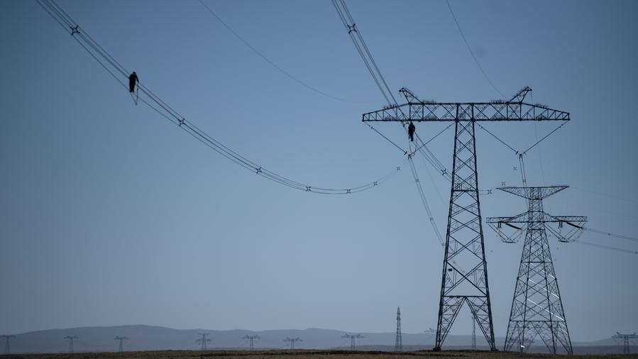 Artificial nests boost biodiversity of "China's water tower"