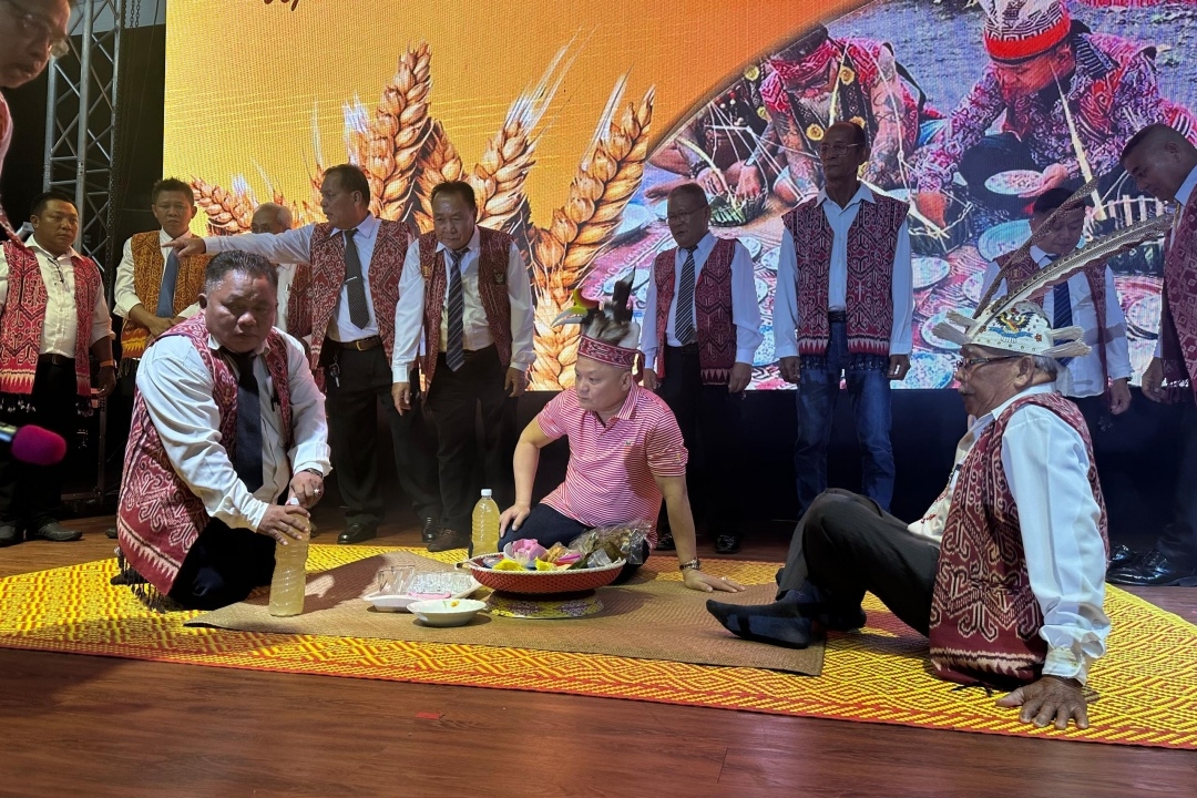Deputy minister highlights unity, sustainability at Sarikei Gawai dinner