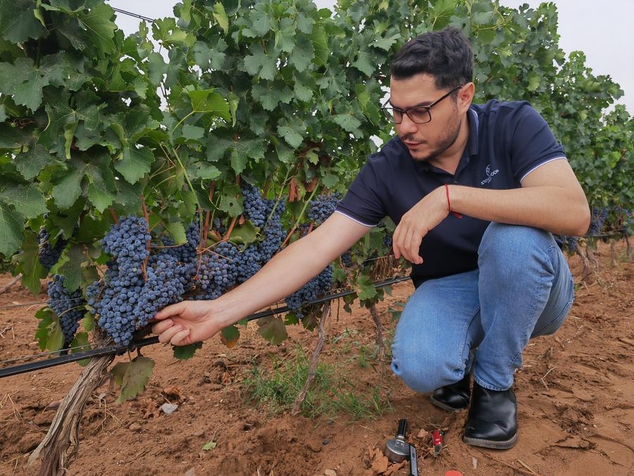 Argentine winemaker finds his ideal blend in China