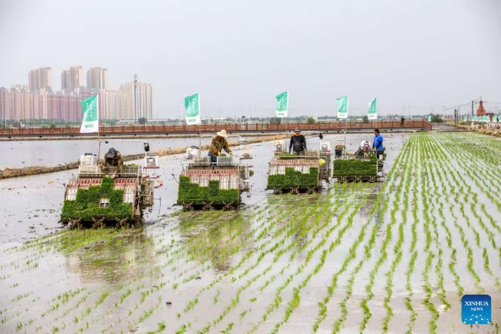 From farm to plate, China steps up push to reduce food waste