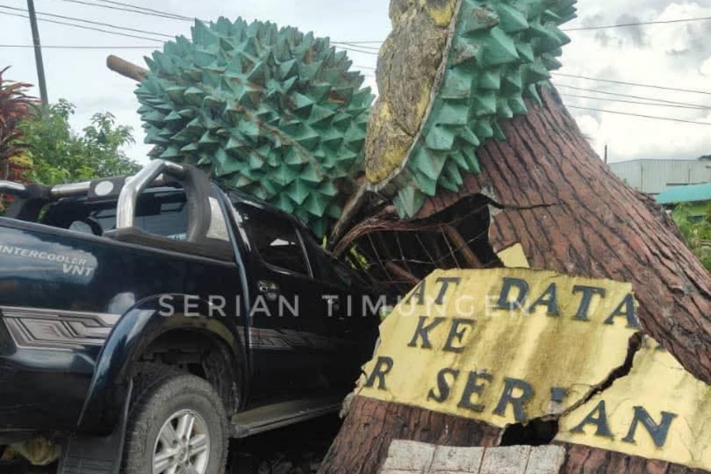 Iconic Serian durian landmark destroyed in crash with 4WD