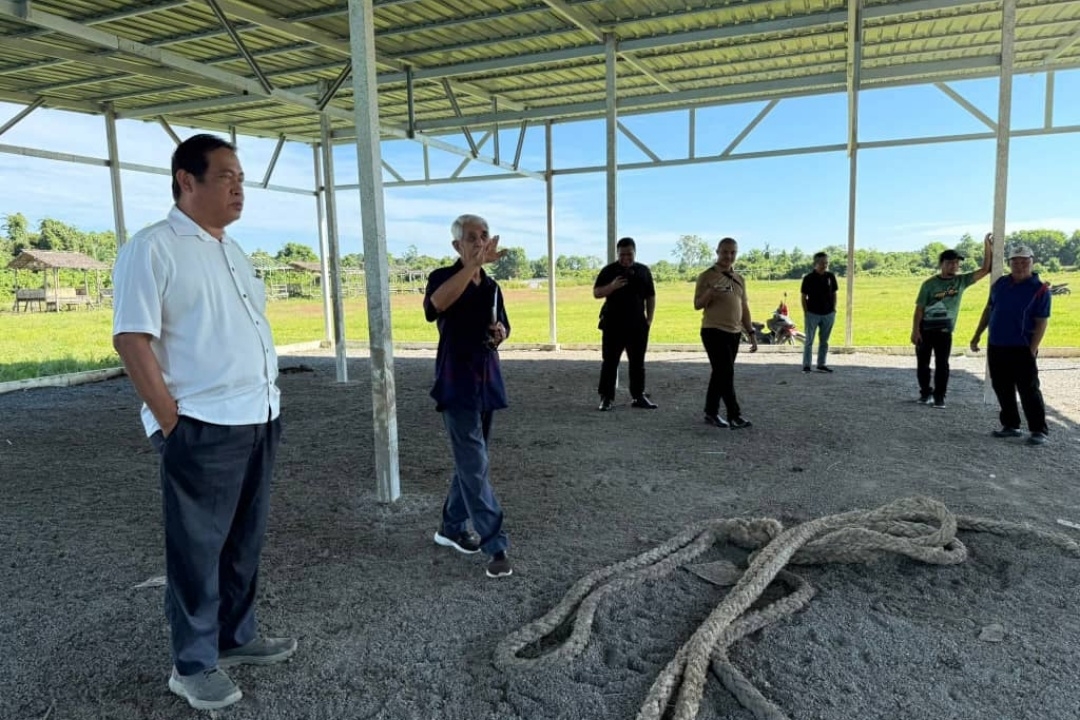 Badudun Fest, Limbang Buffalo Race 2025 all set for October staging