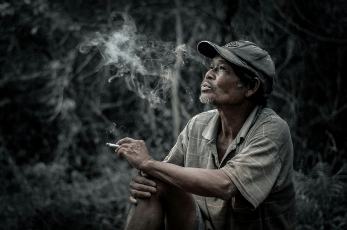 Plantastic journeys: My botany jungle field-trips