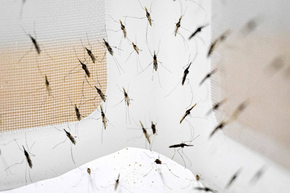 Health Office to take blood samples from residents following detection of malaria case at Sibu Jaya's Townvilla B