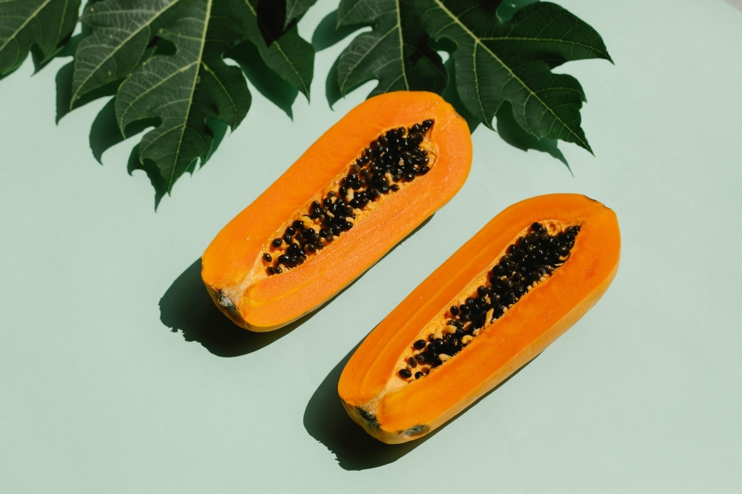 Planting papaya with the right techniques
