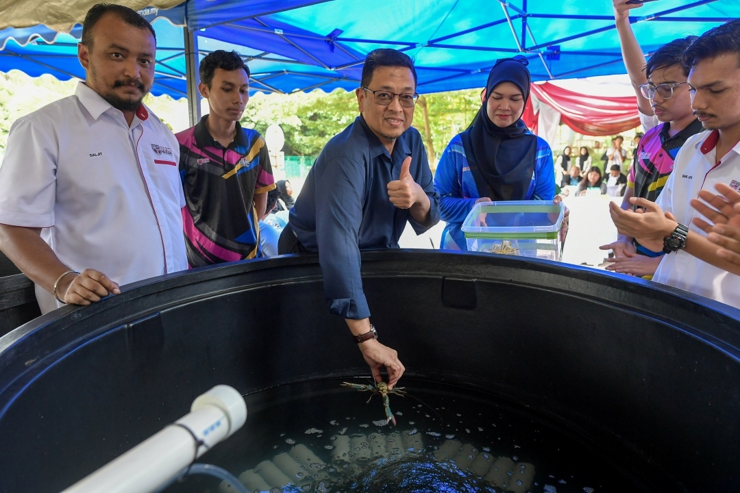 Model for sustainable aquaculture