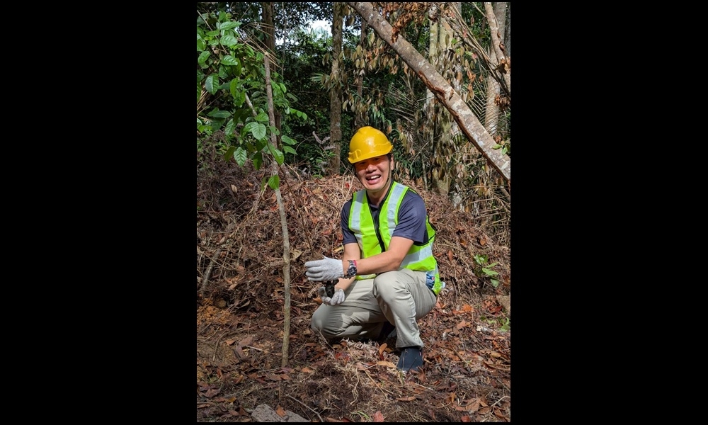 Pansar leads reforestation effort with 1,000 trees planted in Sabah